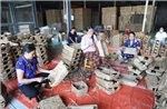 Chuyển hóa chương trình, nghị quyết thành mô hình và kết quả cụ thể