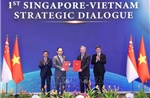 Việt Nam - Singapore hướng đến tương lai chung tự cường