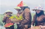 Thủ tướng yêu cầu tăng cường an ninh, an toàn trong hoạt động du lịch