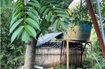 Điều tra nguyên nhân 2 người tử vong trong trang trại nuôi vịt