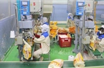 Việt Nam thuộc nhóm nước tự chủ lương thực hàng đầu