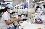 Hà Nội nhiều mặt hàng xuất khẩu tăng mạnh trong bối cảnh khó khăn