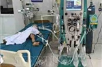 Ba trẻ bị ong vò vẽ đốt, một trường hợp tử vong