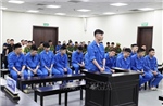 Phạt tù nhóm 'xã hội đen' lừa đảo, đánh bạc, buôn bán thận