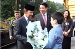 Lễ đón chính thức Quốc vương Brunei