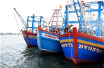 Khắc phục &#39;thẻ vàng&#39; IUU: Đồng Tháp không còn vi phạm nhờ tuyên truyền, giám sát đồng bộ