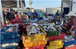 Ngư dân thành &#39;cánh tay nối dài&#39; chống IUU