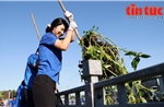 Ngày Chủ nhật xanh: Lan tỏa tinh thần sống xanh của tuổi trẻ Thành phố mang tên Bác 