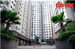 Người trẻ có nên mua nhà chung cư trả góp?