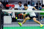Nhiều rủi ro về sức khỏe khi tập luyện ‘Pickleball’ không đúng cách