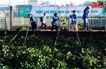 Dấu ấn tình nguyện của tuổi trẻ TP Hồ Chí Minh