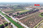 Đất nền giá rẻ trên đất nông nghiệp: Cẩn trọng mất tiền oan