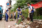 Tuổi trẻ TP Hồ Chí Minh ra quân ‘Ngày Chủ nhật xanh’