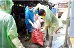 Tuyên Quang: Xem xét trách nhiệm lãnh đạo xã, phường nếu để xảy ra vứt xác lợn, sản phẩm từ lợn ra môi trường