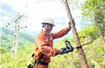 Công ty Điện lực Sơn La chủ động ứng phó với cơn bão số 9