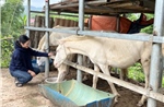 Lạng Sơn chú trọng giảm nghèo, nâng cao đời sống đồng bào