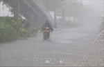 Khu vực Nam Bộ mưa dai dẳng, cảnh giác với dông, gió mạnh