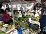Hà Nội: Rau xanh được mùa, nông dân có lãi