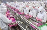 Việt Nam- Pháp: Động lực mới cho phát triển thương mại và đầu tư