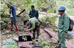Ghi nhận nhiều loại thực vật nguy cấp, quý hiếm tại Khu bảo tồn thiên nhiên ĐakRông