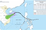  Bão số 12 cách Đà Nẵng 450 km, miền Trung có mưa lớn
