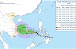 Chủ động ứng phó bão KOTO đang hướng vào miền Trung 