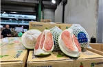 Lô bưởi Việt đầu tiên vào Úc là thành quả đàm phán và chuẩn hóa chất lượng