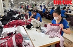 Cước vận tải tăng cao, doanh nghiệp xuất khẩu nỗ lực ứng phó