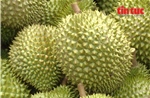 Chuối, dứa, dừa, chanh dây &#39;vươn mình&#39; thành nông sản tỷ đô