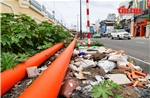 TP Hồ Chí Minh: Tuyến đường Hoàng Hoa Thám ngổn ngang rác thải sau 4 tháng thông xe