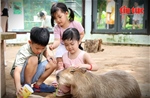 Gặp gỡ Capybara, sóc Bắc Mỹ tại ‘vườn thú thân thiện’ giữa trung tâm TP Hồ Chí Minh