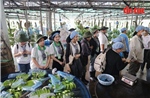 Sinh viên Lào, Campuchia trải nghiệm nông nghiệp công nghệ cao tại TP Hồ Chí Minh