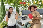 Người phụ nữ 'biến' sân thượng thành khu vườn nông sản bốn mùa
