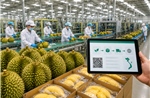 Nông sản Việt trước bước ngoặt chất lượng - Bài cuối: Chìa khóa chinh phục thị trường tỷ dân