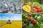 Nông sản Việt 2026 - Bài 1: Áp lực tăng trưởng và sự lệch pha trong giá trị xuất khẩu