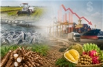 Nông sản Việt 2026 - Bài 2: Từ nỗi lo vùng nguyên liệu đến ‘vòng xoáy’ chi phí
