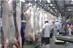 TP Hồ Chí Minh siết chặt quản lý kiểm dịch và giết mổ động vật