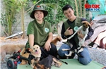 Người phụ nữ dựng 'Nhà Xanh' cưu mang 150 chú chó bị bỏ rơi