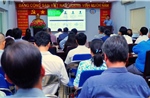 TP Hồ Chí Minh xác định 27 vị trí cần thu hút nhân tài trong đợt đầu