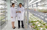 TP Hồ Chí Minh chuyển từ thu hút nhân tài sang trọng dụng nhân tài
