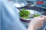 Hợp tác xã chủ động nguồn giống dứa MD2 bằng công nghệ nuôi cấy mô