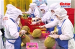 Tạo đà cho nông sản Việt - Bài 1: Đổi mới tư duy tăng trưởng