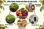 TP Hồ Chí Minh: Tận dụng phụ phẩm cà phê để tạo giá trị gia tăng