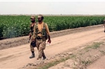 Quân đội Pakistan chuyển từ xe tăng sang máy cày để tăng gia sản xuất 