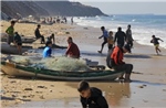 Người dân Gaza liều mình xuống biển đánh cá mưu sinh