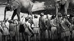 Cuộc cạnh tranh giữa hai vườn thú của Berlin trong Chiến tranh Lạnh