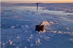 Biện pháp kỳ lạ hỗ trợ việc chống biến đổi khí hậu ở Bắc Cực
