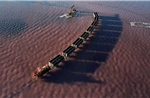 Cảnh đẹp siêu thực đoàn tàu di chuyển trên mặt nước màu hồng tại Nga