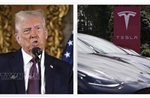 Tổng thống Trump cảnh báo hành động bạo lực với Tesla là &#39;khủng bố nội địa&#39;