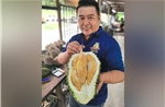 &#39;Tân binh&#39; sầu riêng lăm le soán ngôi Musang King và Black Thorn